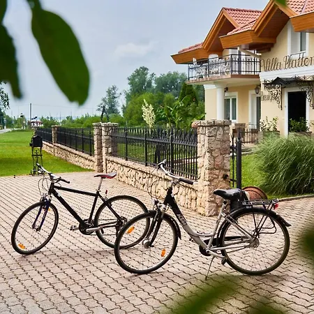 Plattensee 3* Vonyarcvashegy