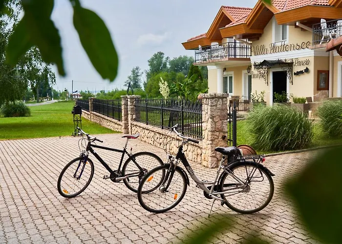 巴拉顿湖别墅酒店 3* 沃尼奥尔茨沃什海吉